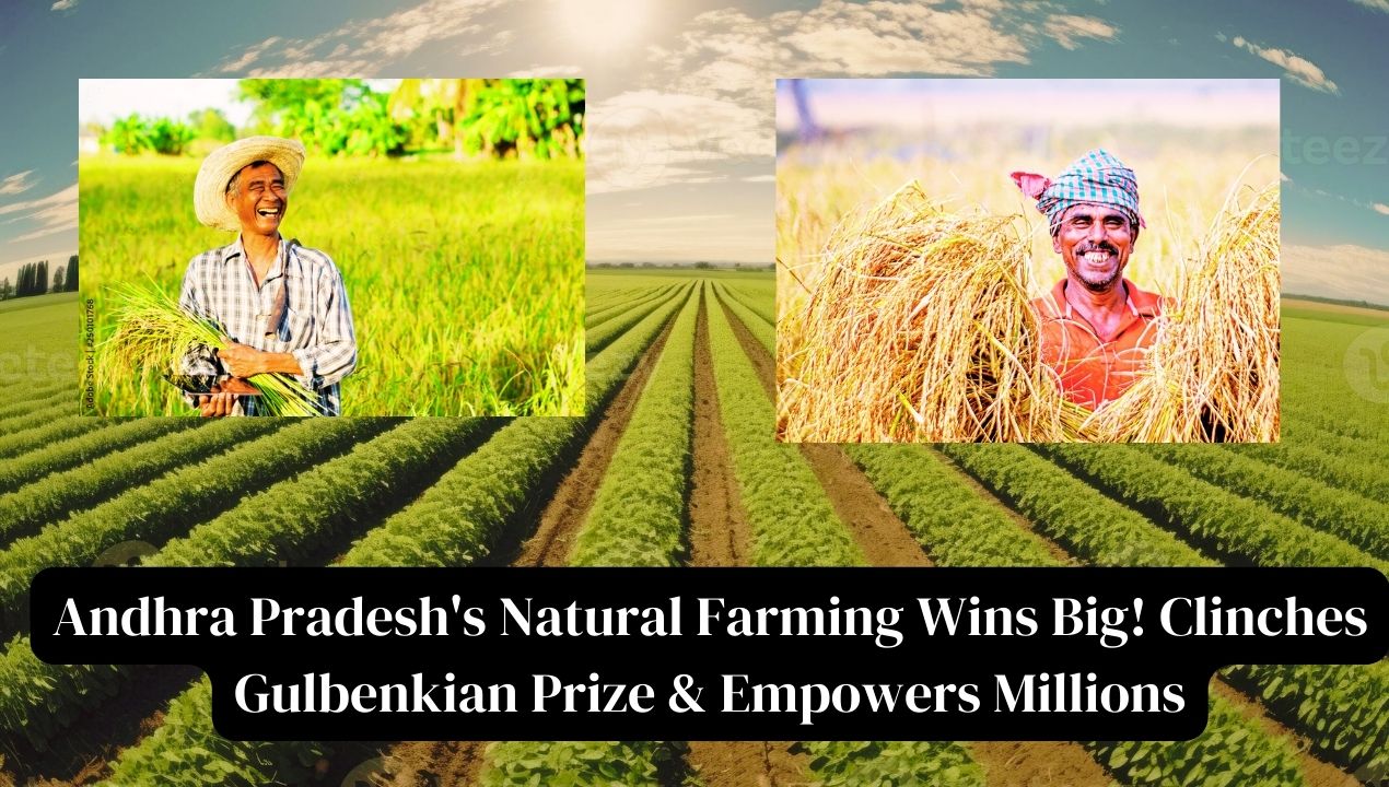 Andhra Pradesh's Natural Farming Initiative Wins Global Recognition