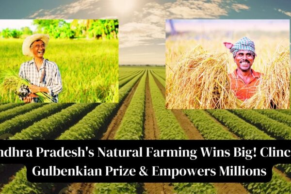 Andhra Pradesh's Natural Farming Initiative Wins Global Recognition